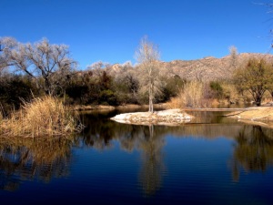 Lake Cochran, Tanque Verde Ranch, Tuscon Arizona